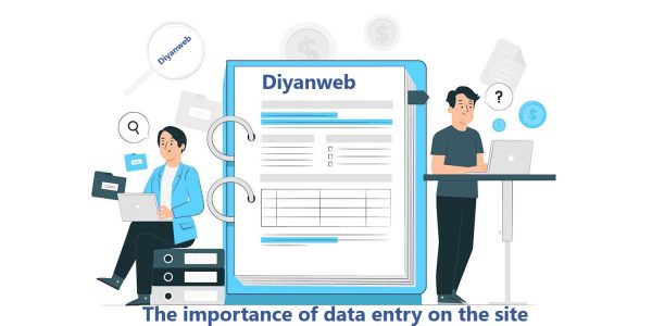 اهمیت دیتا اینتری در سایت